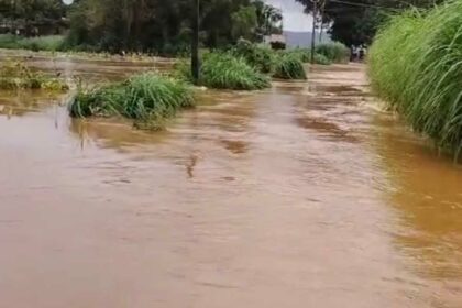 कडोलीचा तलाव दुसऱ्यांदा फुटला :भात पीक झाले नष्ट